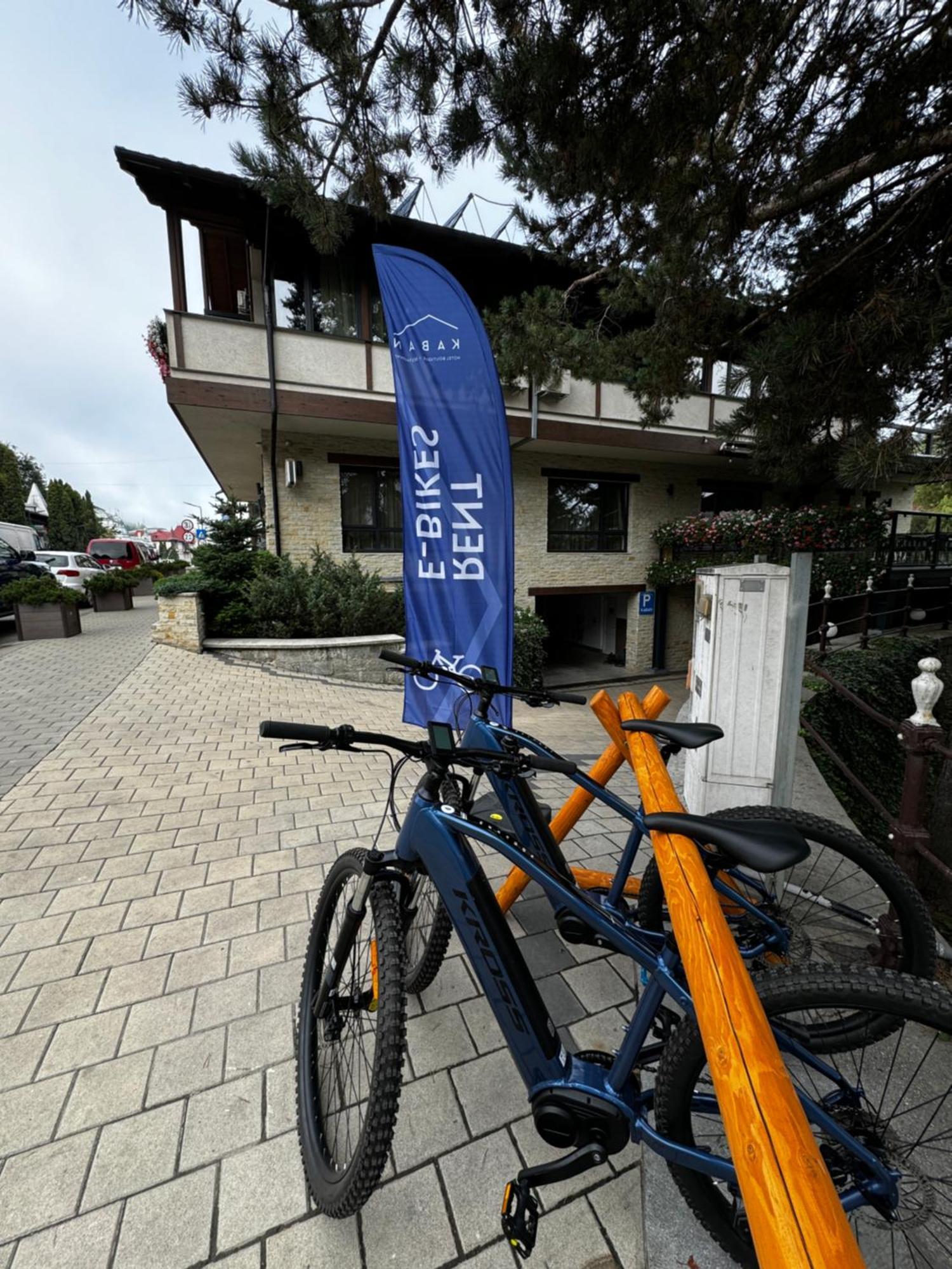 Kaban Boutique - 5Star Central Villa In Vatra Dornei Buitenkant foto