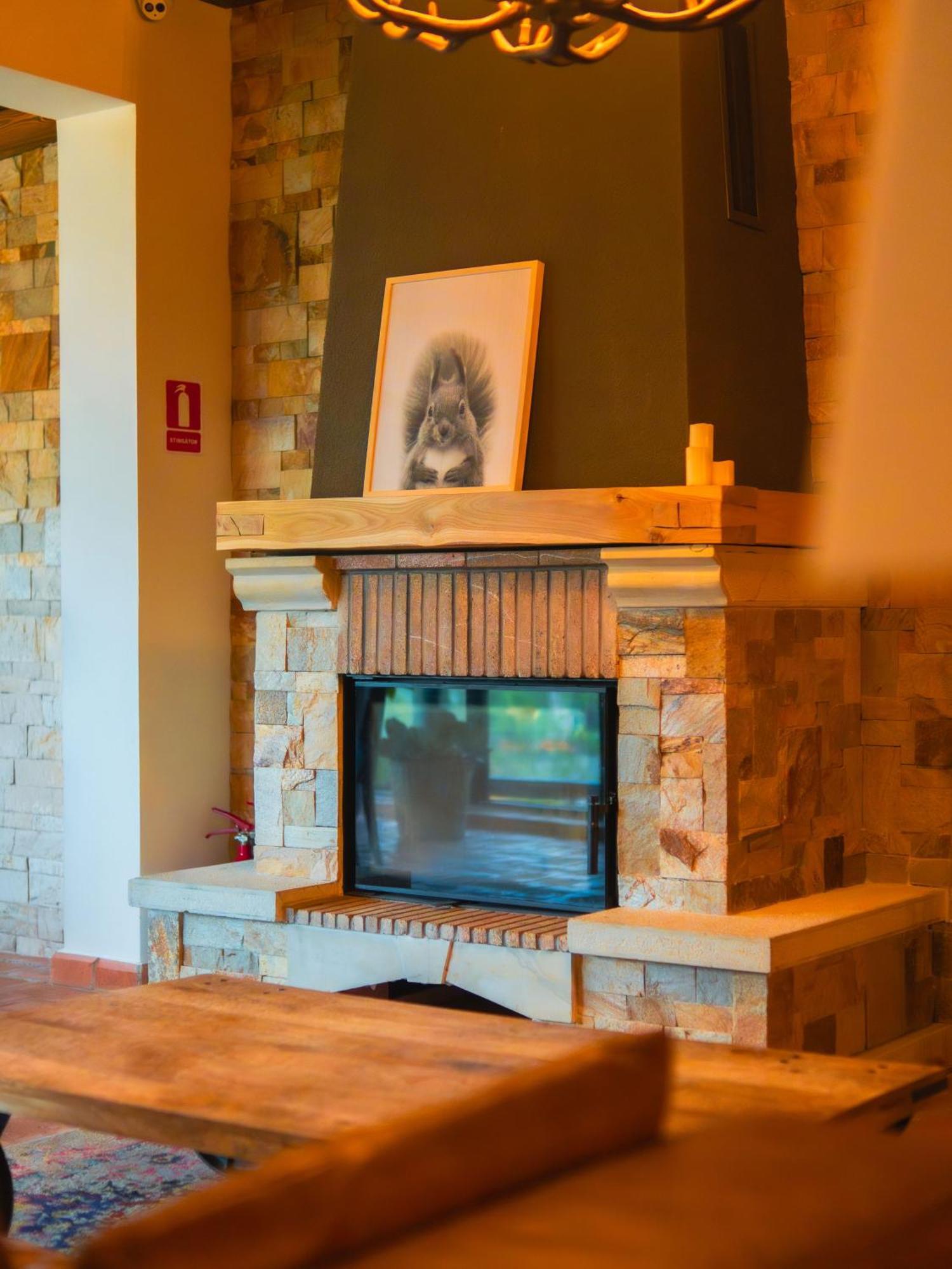 Kaban Boutique - 5Star Central Villa In Vatra Dornei Buitenkant foto